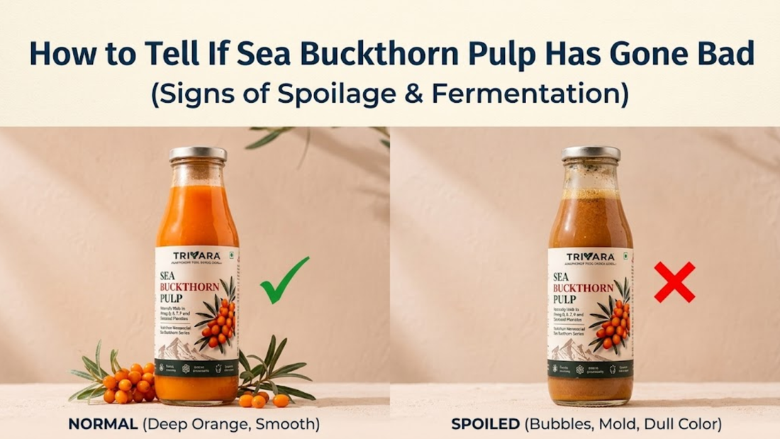 How to Tell If Sea Buckthorn Pulp Has Gone Bad (Signs of Spoilage &amp; Fermentation)