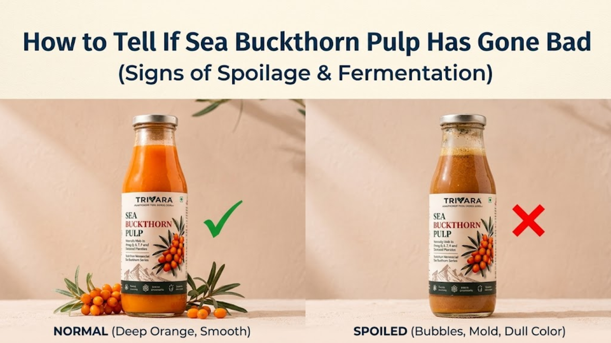 How to Tell If Sea Buckthorn Pulp Has Gone Bad (Signs of Spoilage &amp; Fermentation)