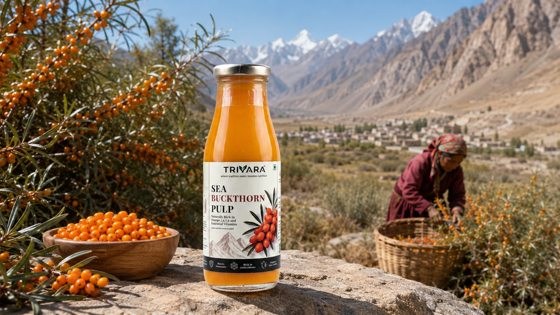 Ladakh Sea Buckthorn: Why Altitude, Wild Harvest and Season Change What's in the Bottle