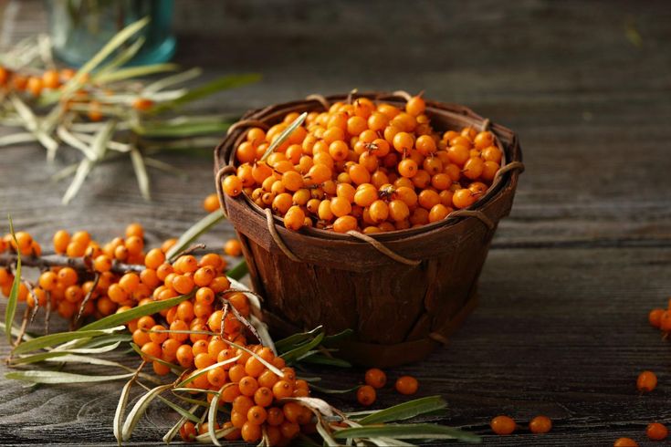 Sea Buckthorn for Skin and Gut Health The Secret to Natural Glow