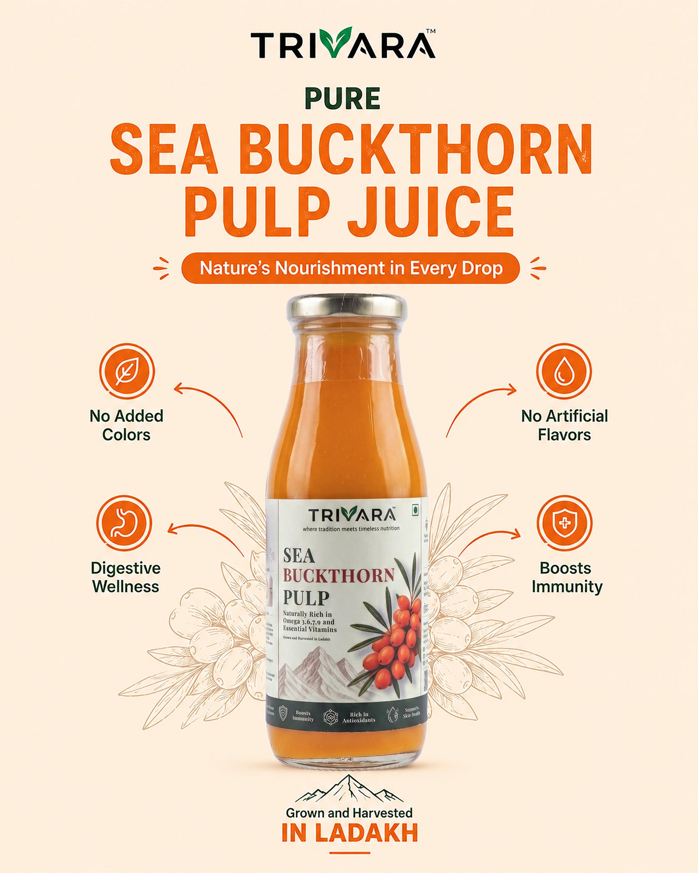 Sea Buckthorn Pulp - 300ml