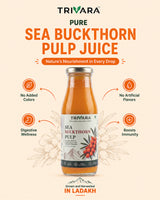 Sea Buckthorn Pulp - 300ml