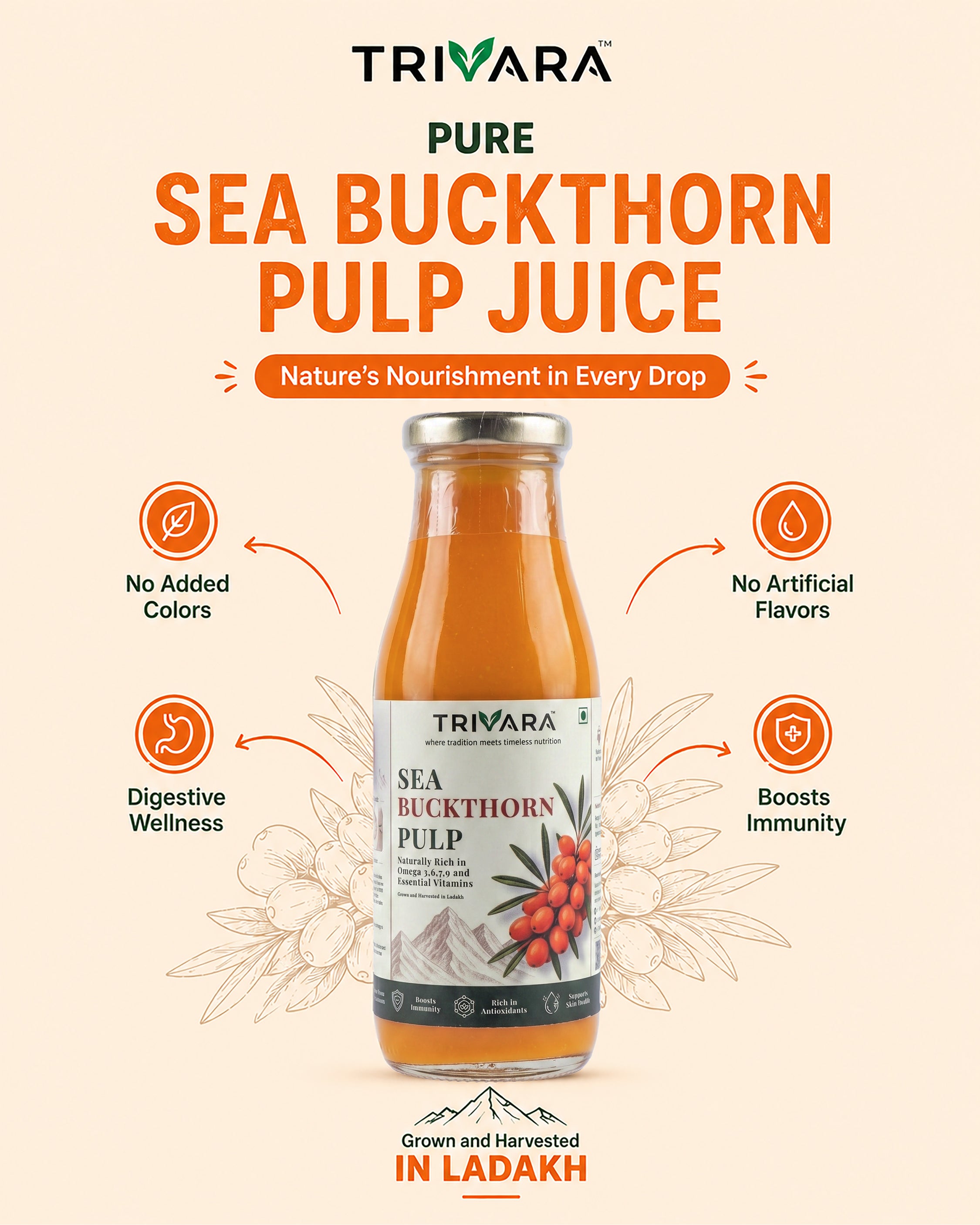 Sea Buckthorn Pulp - 300ml