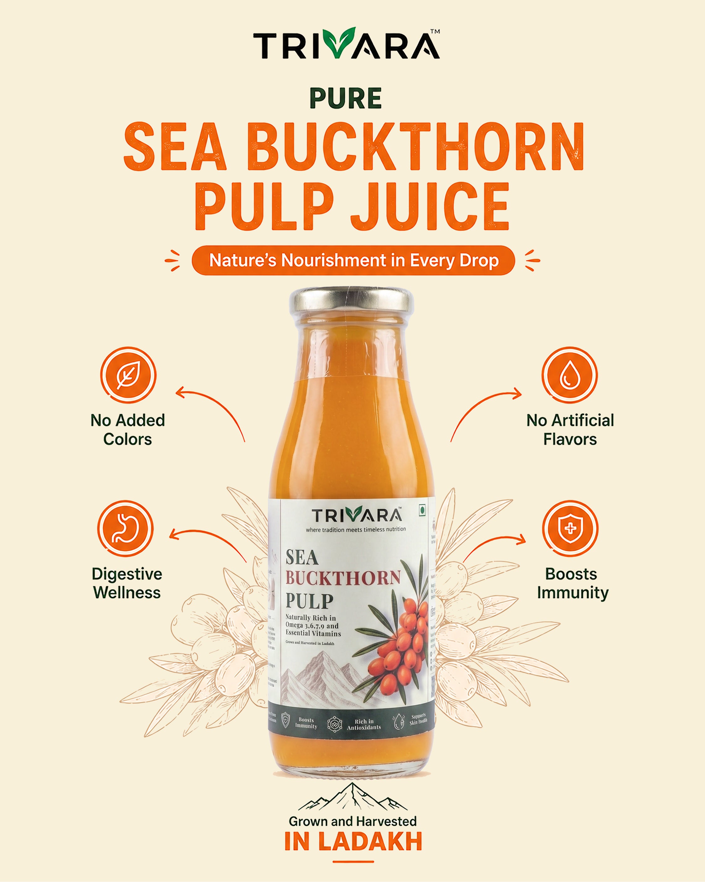 Sea Buckthorn Pulp - 300ml · 30 daily servings