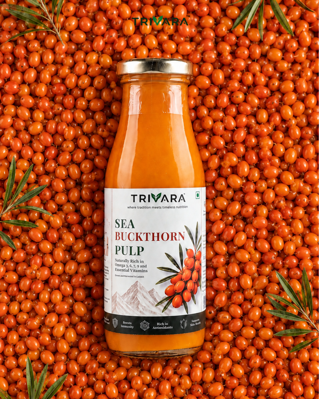 Sea Buckthorn Pulp - 300ml · 30 daily servings