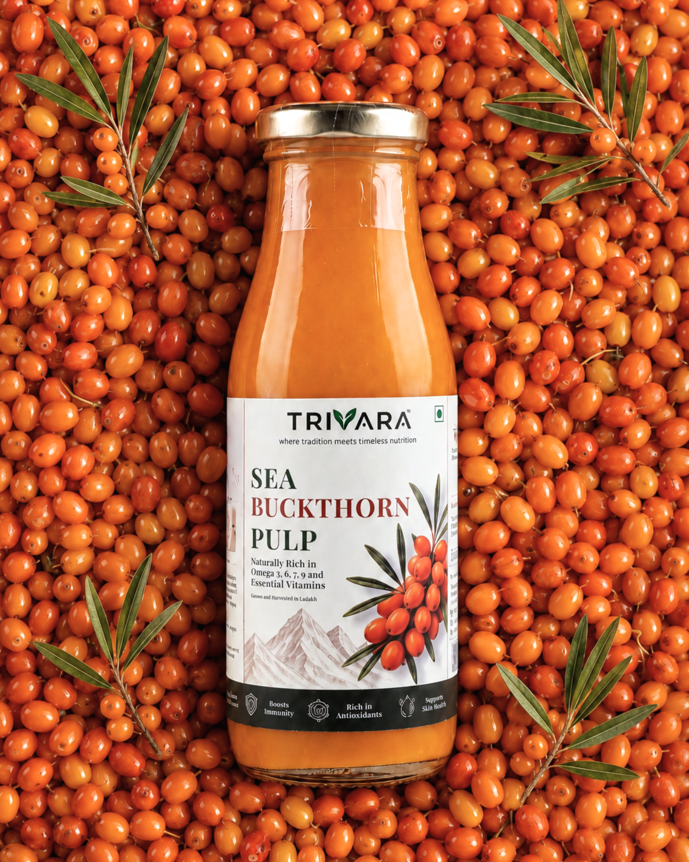 Sea Buckthorn Pulp - 300ml · 30 daily servings